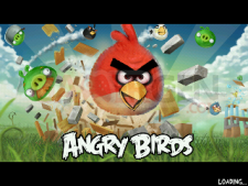 Angry bird screenshot-1320765540377