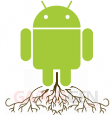root image