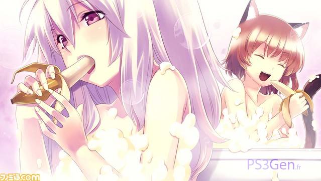Agarest Senki Zero PS3 Xbox 360