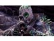 Outriders Technomancer (3)