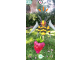 Pokémon GO Méga Évolution 6
