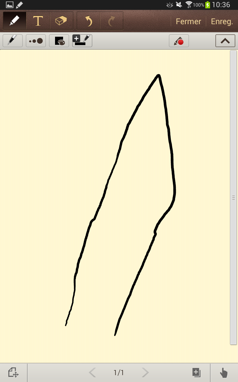 stylet_1