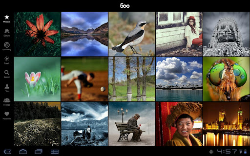 screenshot-500px-application-android- (2)