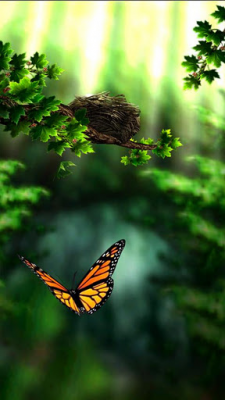 season-zen-hd-android-screenshoot0002