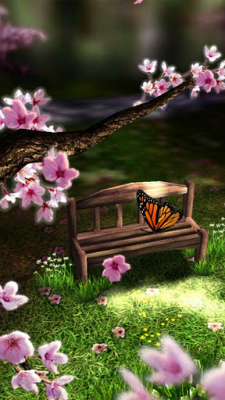 season-zen-hd-android-screenshoot0001