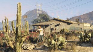 gta v screenshot pc  (8)