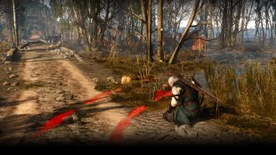 The Witcher 3 Wild Hunt 29 04 15 07