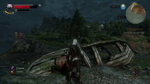 The Witcher 3 Wild Hunt (2)