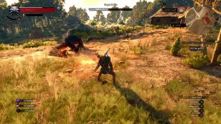 The Witcher 3 Wild Hunt image screenshot 2