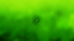 Pok&eacute;mon GO week end sp&eacute;cial type Plante &eacute;nergie