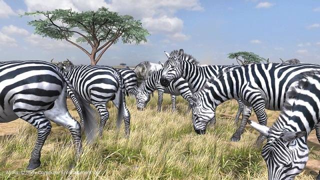 afrika2