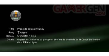 FIFA WORLD CUP 2010 trophee argent   2