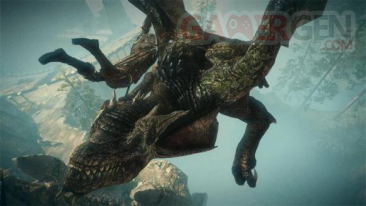 The Witcher 2 (8)