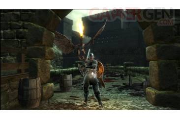 demons_souls_eur_06