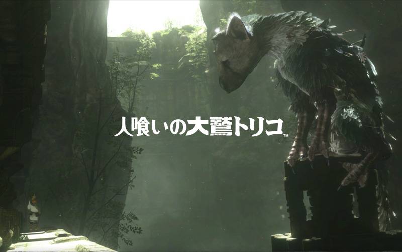 trico