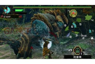 Monster Hunter Portable 3rd 016