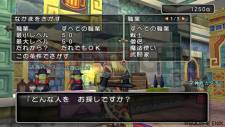 Dragon Quest X 4
