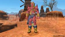 Dragon Quest X 10