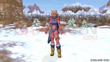 Dragon Quest X 11