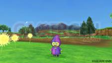 Dragon Quest X 13