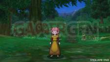Dragon Quest X 16