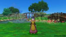 Dragon Quest X 17