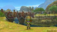 Dragon Quest X 19