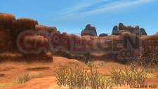 Dragon Quest X 21