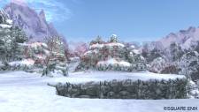Dragon Quest X 22