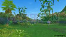 Dragon Quest X 27