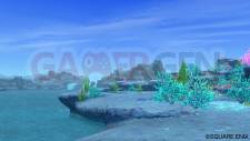 Dragon Quest X 28