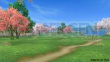 Dragon Quest X 30