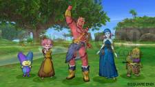 Dragon Quest X 31