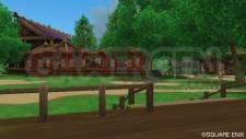 Dragon Quest X 33