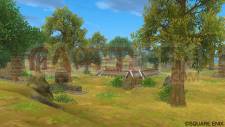 Dragon Quest X 34