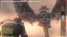 Metal-Gear-Solid-Peace-Walker-niveau-bonus-Monster-Hunter-wyverns-felyne020