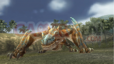 Metal-Gear-Solid-Peace-Walker-niveau-bonus-Monster-Hunter-wyverns-felyne052