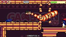 Flying-Hamster-le-minis-ou-les-hamster-ce-rebelle022