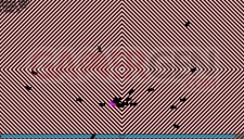 Swarm 2.00 011