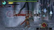 Monster Hunter Portable 3rd 022