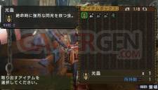 Monster Hunter Portable 3rd 005