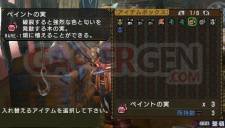 Monster Hunter Portable 3rd 012