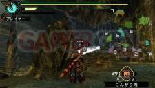 Monster Hunter Portable 3rd 017