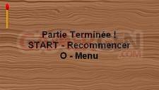 psp-allumettes-2