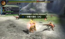 Monster Hunter Tri G 18