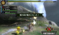 Monster Hunter Tri G 20