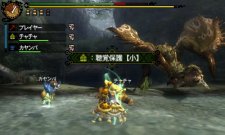 Monster Hunter Tri G 25