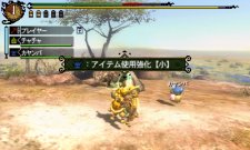 Monster Hunter Tri G 26
