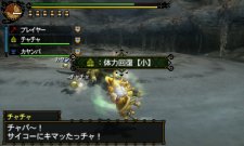 Monster Hunter Tri G 27