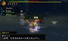 Monster Hunter Tri G 28